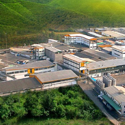 پروژه آسانسورهای مجتمع کاله